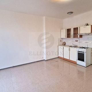 Pronájem bytu 1+kk a garsoniéry 43 m² Praha, Slezská