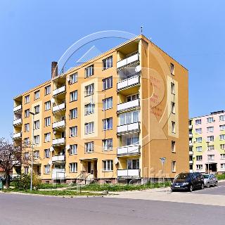 Pronájem bytu 1+1 38 m² Nové Sedlo, Sklářská