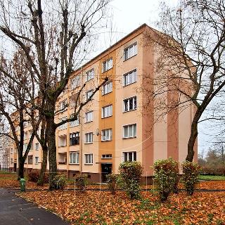 Pronájem bytu 2+1 55 m² Ostrov, Kollárova