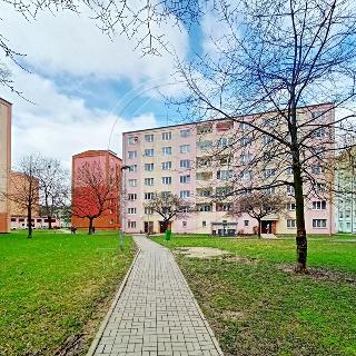 Pronájem bytu 3+1 56 m² Chodov, Obránců míru