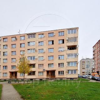 Pronájem bytu 1+1 36 m² Nové Sedlo, Sadová