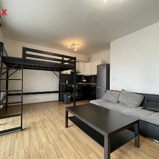 Pronájem bytu 1+kk a garsoniéry 29 m² Brno, Křídlovická