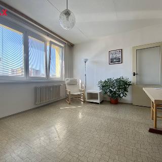 Pronájem bytu 2+kk 40 m² Brno, Bzenecká