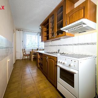 Pronájem bytu 3+1 74 m² Třebíč, Okružní