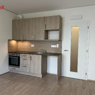 Pronájem bytu 1+kk a garsoniéry 27 m² Brno, Trnitá