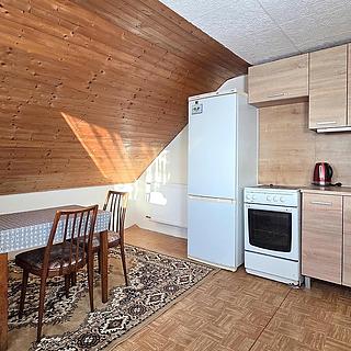 Pronájem bytu 2+1 53 m² Číhalín