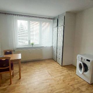 Pronájem bytu 1+1 35 m² Cheb, Do Zátiší