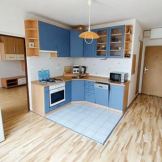 Pronájem bytu 1+1 35 m&sup2; Cheb