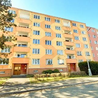 Pronájem bytu 1+1 40 m² Cheb, Šeříková