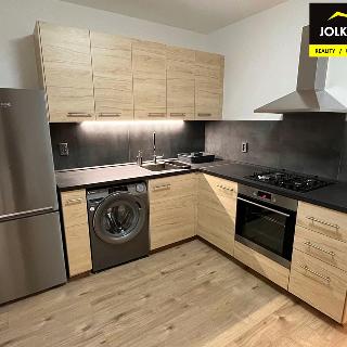 Pronájem bytu 1+1 36 m² Opava, Holasická