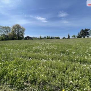 Prodej louky 3 932 m² Nalžovice Nalžovické Podhájí, Nalžovické Podhájí