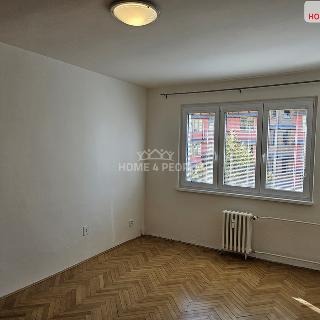 Pronájem bytu 2+1 54 m² Praha, Křenova