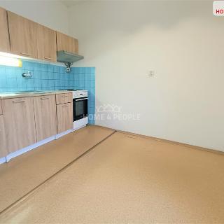 Pronájem bytu 1+kk a garsoniéry 41 m² Chotěšov, Mantov