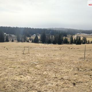 Prodej louky 1456 m² Horská Kvilda