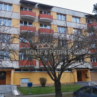 Pronájem bytu 2+kk 40 m² České Budějovice, Plzeňská