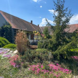 Prodej chalupy 220 m² Číčenice, Strpí