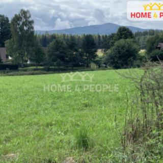 Prodej louky 5428 m² Nová Pec