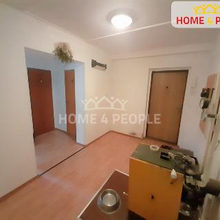 Pronájem bytu 2+1 70 m² Chotěšov, Mantov