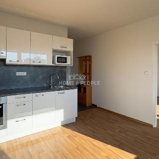 Pronájem bytu 1+1 39 m² České Budějovice, K. Šafáře