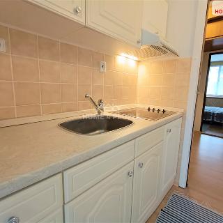 Prodej bytu 5+1 a více 167 m² Sokolov, Mánesova