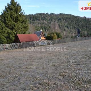 Prodej stavební parcely 9 092 m² Bublava, Bublava