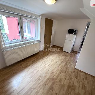 Pronájem bytu 1+1 35 m² Praha, Pod višňovkou