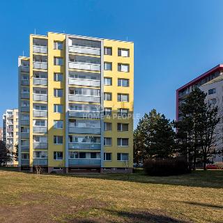 Pronájem bytu 1+kk a garsoniéry 38 m² Praha, U Pentlovky