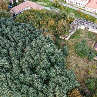 Prodej zemědělské usedlosti 520 m² Dešná, Chvalkovice