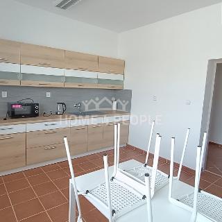 Pronájem bytu 2+1 110 m² Malešovice, 