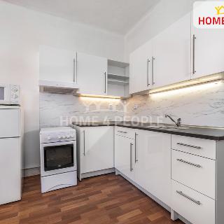 Pronájem bytu 2+kk 53 m² Praha, Biskupcova