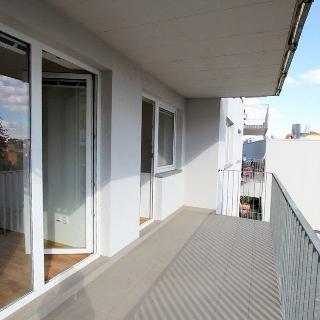 Pronájem bytu 4+kk 118 m² Brno, Kollárova