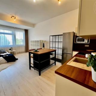 Pronájem bytu 1+kk, garsoniery 38 m² Brno