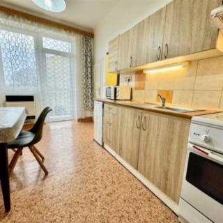 Pronájem bytu 1+1 42 m² Brno
