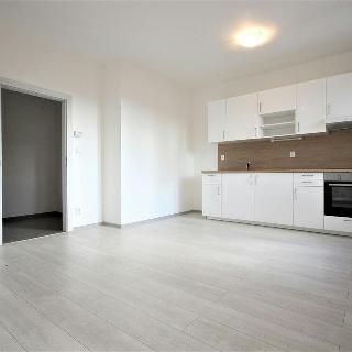 Pronájem bytu 1+kk a garsoniéry 29 m² Brno