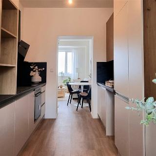 Prodej bytu 2+1 47 m² Brno, Netušilova