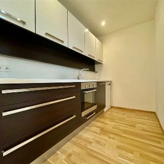 Pronájem bytu 3+kk 74 m² Brno, Fryčajova