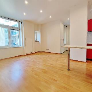 Pronájem bytu 1+kk a garsoniéry 36 m² Brno, Skořepka