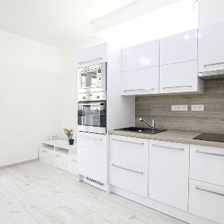 Pronájem bytu 1+kk a garsoniéry 35 m² Brno, Lišejníková