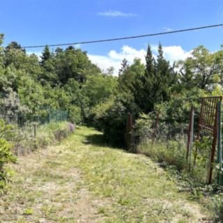 Prodej zahrady 339 m² Rozdrojovice