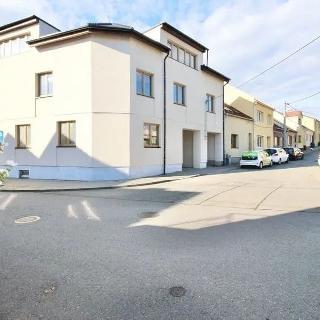 Pronájem bytu 1+kk a garsoniéry 32 m² Brno, Markovičova