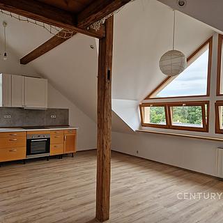 Pronájem bytu 3+kk 93 m² Brno