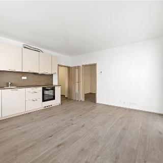 Pronájem bytu 2+kk 55 m² Brno, Chvalovka