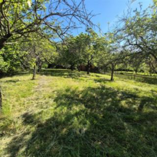 Prodej zahrady 1 271 m² Omice