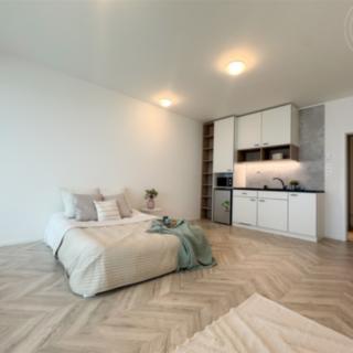 Pronájem bytu 1+kk, garsoniery 39 m² Brno