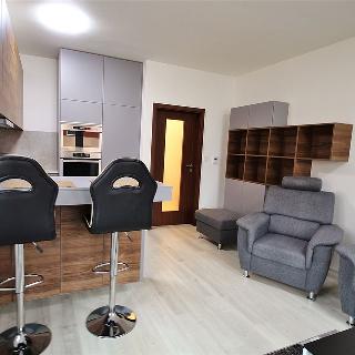 Pronájem bytu 1+kk a garsoniéry 38 m² Šlapanice