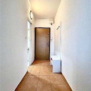 Pronájem bytu 1+1 33 m² Brno, Štouračova