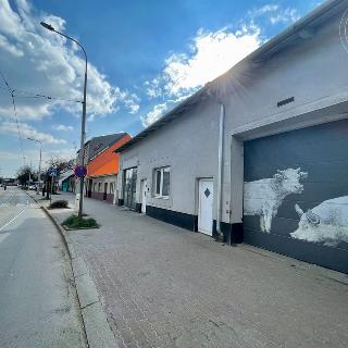 Pronájem bytu 5+kk 250 m² Brno, Selská