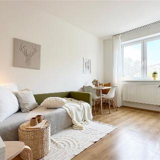 Prodej bytu 1+kk a garsoniéry 21 m² Brno, Svatoplukova