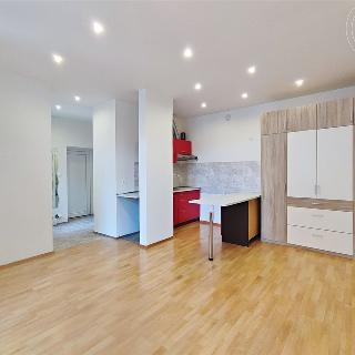 Pronájem bytu 1+kk a garsoniéry 36 m² Brno, Skořepka