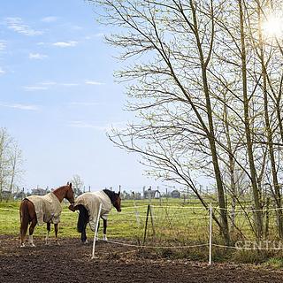 Prodej stavební parcely 1707 m&sup2; Trnová